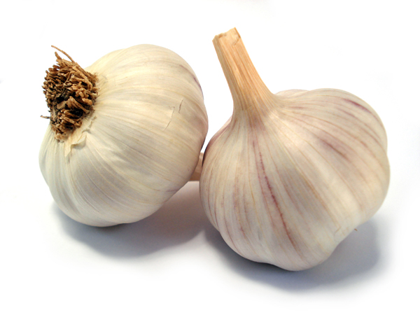 8-14 - Garlic-600.jpg